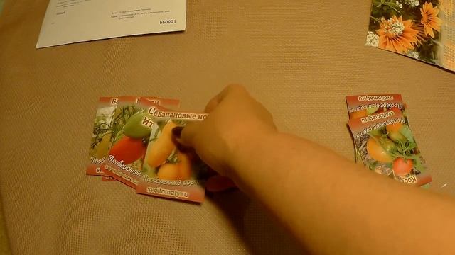 СЕМЕНА ТОМАТОВ ОТ ВАЛЕРИЯ МЕДВЕДЕВА/ЦЕННОЕ ПИСЬМО 20г#153 смотреть онлайн