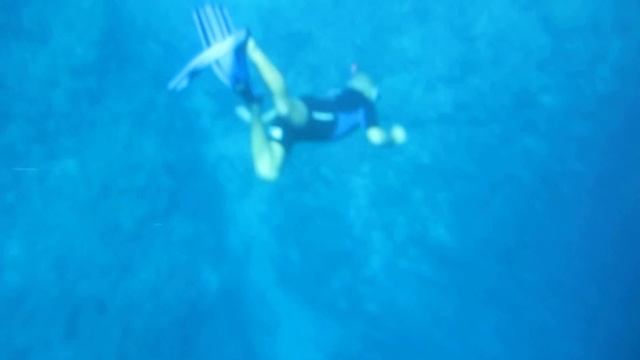 РИФЫ ОСТРОВА ТИРАН, Шарм Эль Шейх, Египет REEFS Tiran Island, Sharm El Sheikh, Egypt смотреть онлайн