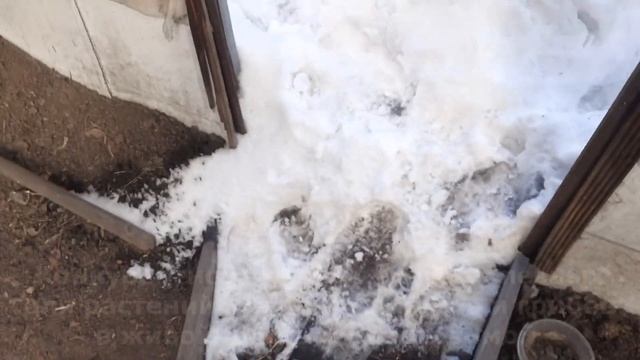 Плодородие живой здоровой почвы Защита растений от болезней размножение своими руками смотреть онлайн