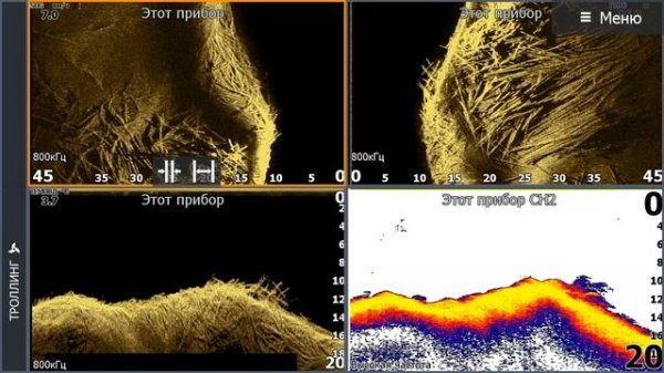 Первое знакомство с Lowrance Active Imaging