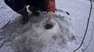 Рыбалка на налима зимой. на средней Волге. 12 лет не ловил эту рыбу.