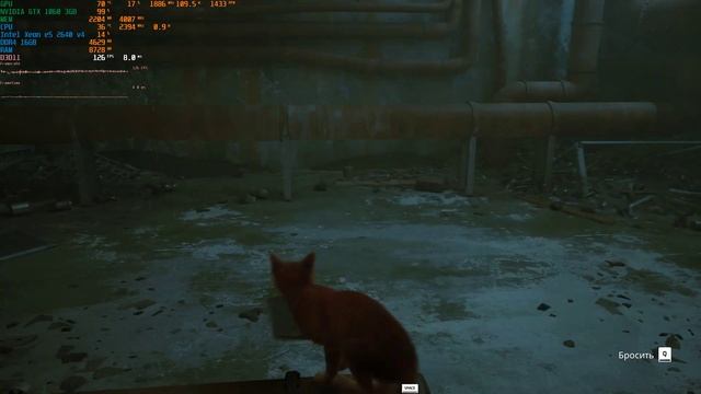 Stray на Intel Xeon e5 2640v4+GTX 1060 3GB смотреть онлайн