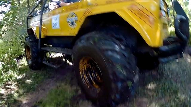 Беловежские зубры 2017 смотреть онлайн