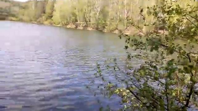 Озеро Лесное, деревня Долботово Брянская область. смотреть онлайн