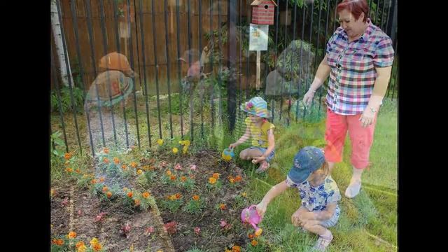 Семейный проект "Как помочь природе в городе" на конкурс "Юные экологи Москвы". смотреть онлайн