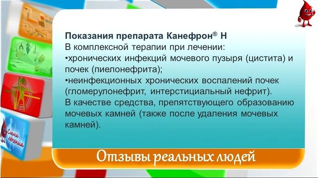 Канефрон отзывы