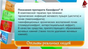 Канефрон отзывы