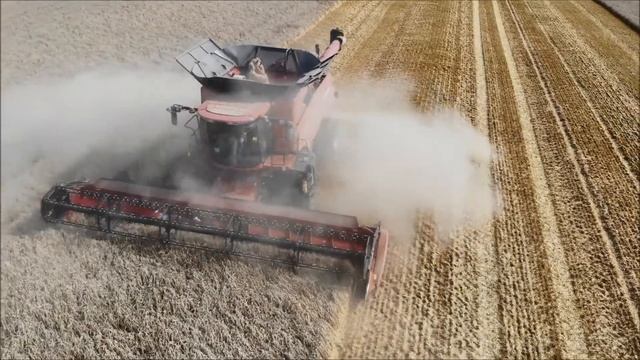 Case IH Axial Flow 7240 harvest in Denmark смотреть онлайн