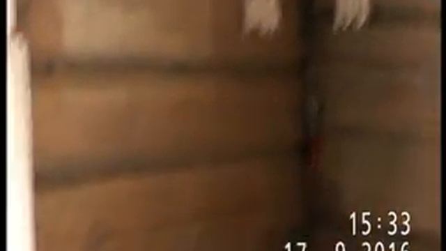 МУЗЕЙ-ЗАПОВЕДНИК "МИХАЙЛОВСКОЕ" - ДОМИК НЯНИ смотреть онлайн