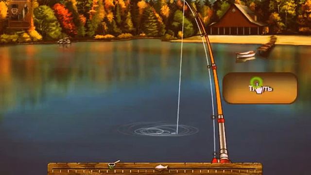 Акула Бык смотреть онлайн