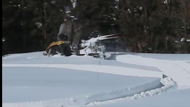 снегоход тикси 250 (Русская механика) смотреть онлайн