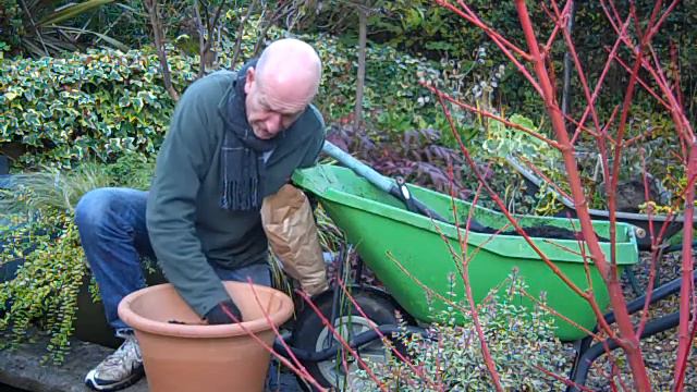 Planting Tulips with Andy McIndoe смотреть онлайн