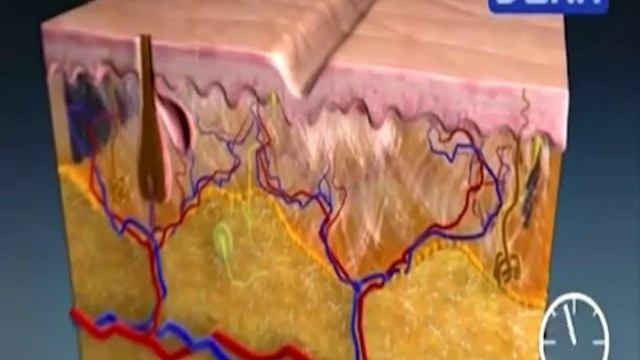 Лазерное омоложение в Самаре смотреть онлайн