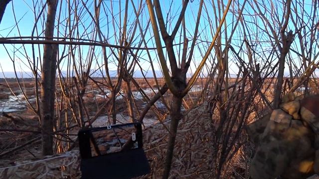 Ждать нет мочи!!!! "Открылись по весенней утке" . "Охота на уток" 2021гг. смотреть онлайн