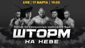 Турнир по смешанным единоборствам «Шторм на Неве»