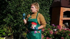 Костная мука ? Использование в садоводстве