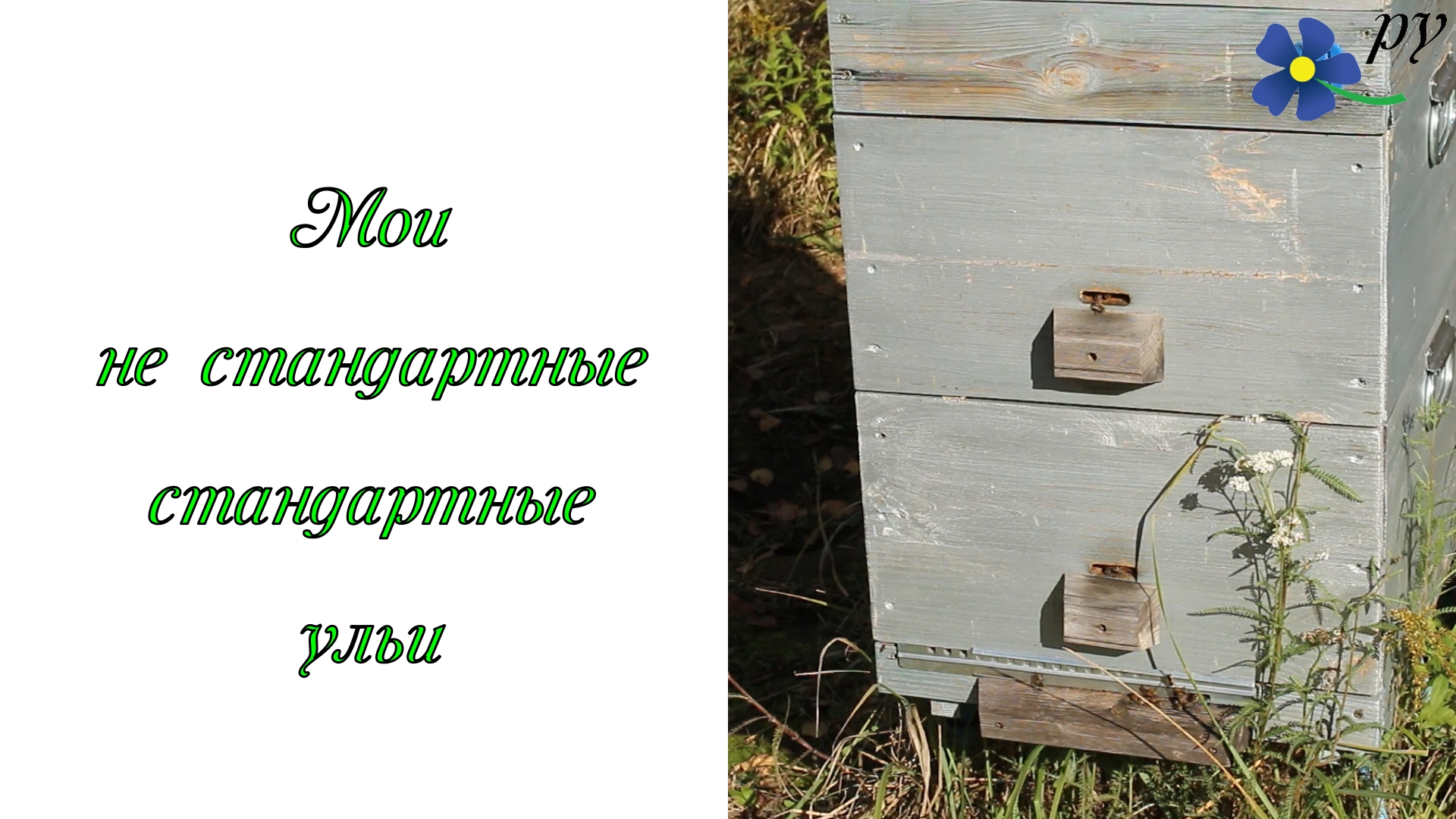 Мои не стандартные стандартные ульи