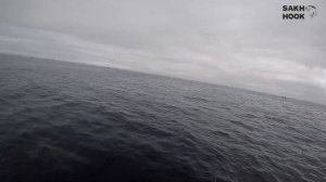 Рыбалка в Охотском море.