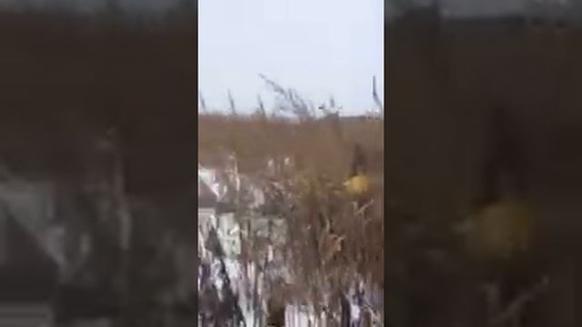 Самодельный трактор. смотреть онлайн