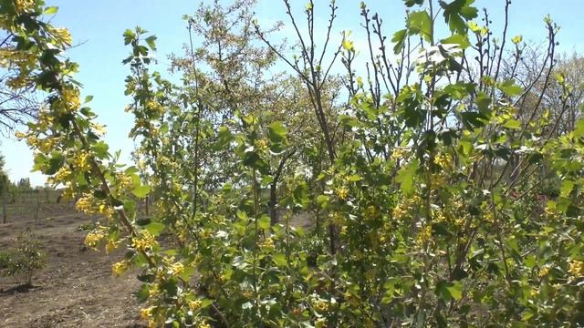 Подписаться или нет Самый короткий ремонт смотреть онлайн