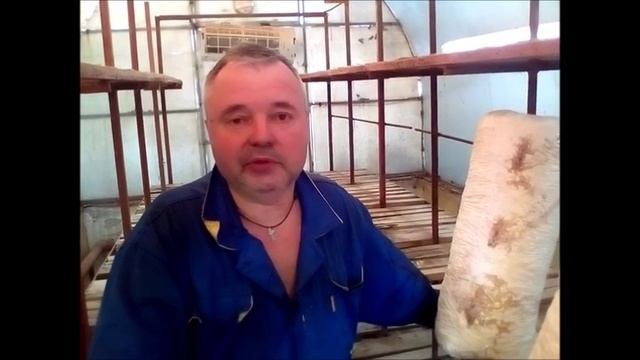 О непрофессиональном выращивании вешенки смотреть онлайн