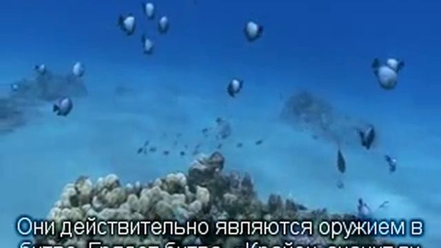 КРАЙОН МОСТ МЕЧЕЙ смотреть онлайн