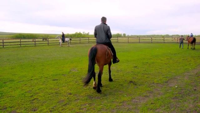 Племенная конеферма на Алтае смотреть онлайн