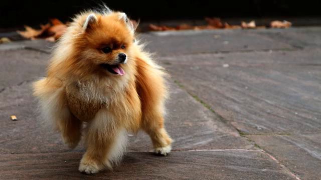 Топ самых хороших русских хитов музыки для души онлайн смотреть онлайн