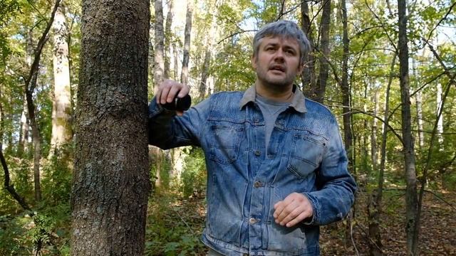 Fujinon XC 16-50mm F3.5-5.6 OIS II или  Fujinon XF 18-55mm F2.8-4 R LM OIS ?