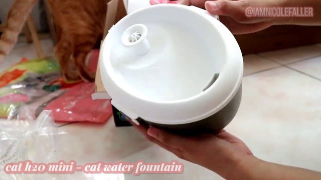 MASSIVE CAT SUPPLIES HAUL (2022) // CAT MUST HAVES PHILIPPINES (RECOMMENDED FOR EVERY CAT OWNER) смотреть онлайн