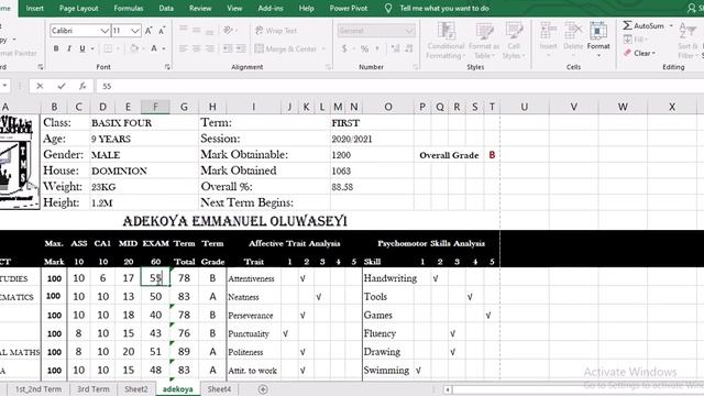 Result Template with Microsoft Excel смотреть онлайн