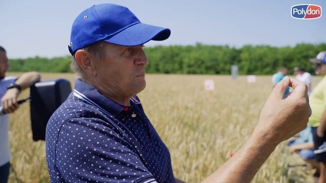 Защита и питание озимой/яровой пшеницы (День поля КФХ Королев В.П.) смотреть онлайн