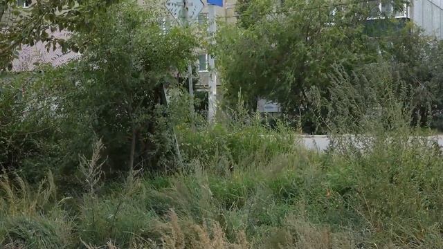 Ремонт моста по улице Ярославского в Чите отстает от графика на 2 недели из за ливней смотреть онлайн