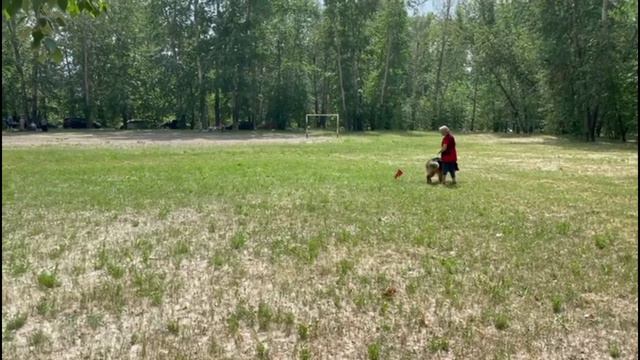 1.  выражено/перв TIM LIECHTENSTEIN-OST YAR (Kleoshloss Neapol – Negus Karil's Zhanetta)