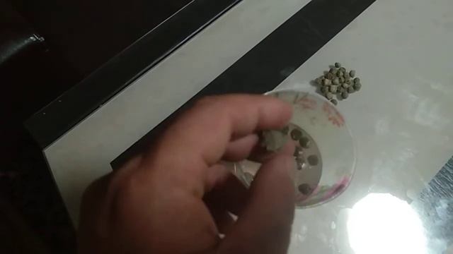 плавающий корм для сома