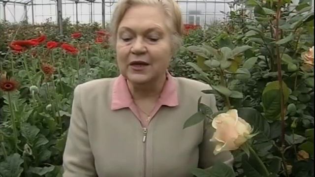 18 смотреть онлайн