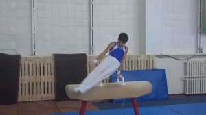 Гимнастические упражнения. Упражнения на коне-махи