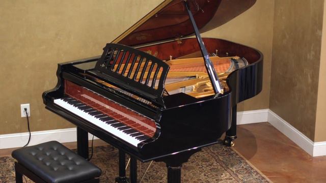 Pre-Owned Schimmel | Konzert | K189NWS смотреть онлайн
