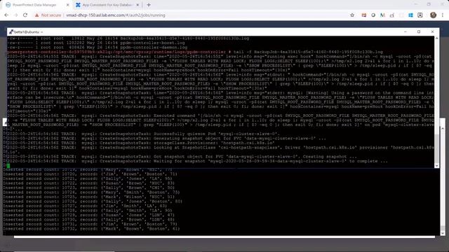 Dell PowerProtect 19.5 - Achieving Application Consistency backup for Kubernetes Containers. смотреть онлайн