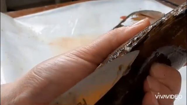 Балық тазалау. Окунь. смотреть онлайн