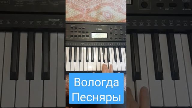 Вологда на синтезаторе смотреть онлайн
