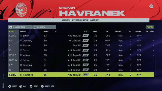 ELH Rosters - NHL 24 смотреть онлайн
