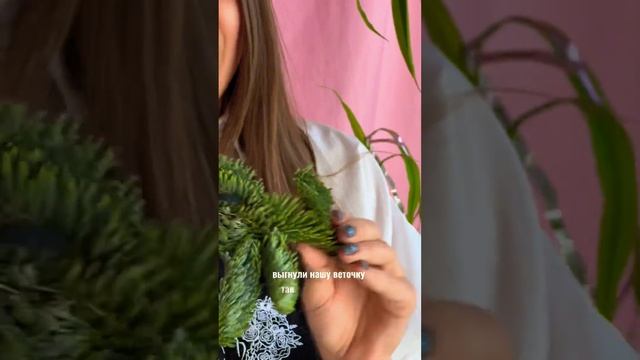 5 шагов по работе с нобилисом Ставьте ❤️ и подписывайтесь ? #флористика #новогодняякомпозиция смотреть онлайн