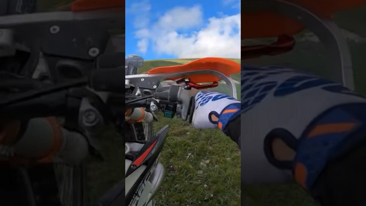 1 августа 2023 г. смотреть онлайн