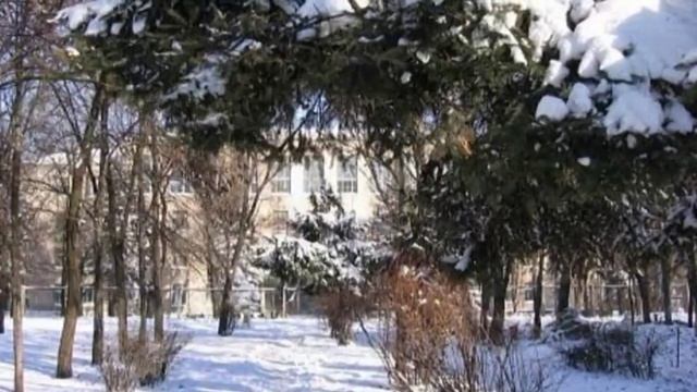 Офицерам курса КРАУСС смотреть онлайн