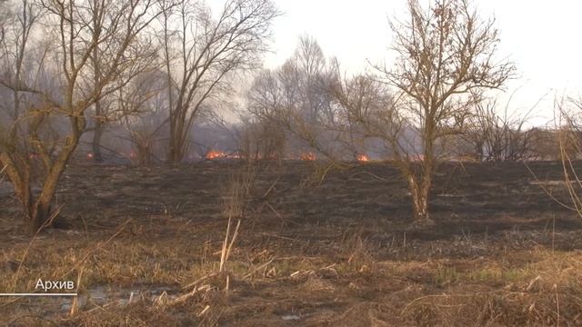 Палы сухой растительности смотреть онлайн