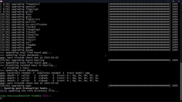 Instalando Msys2 no Windows para desenvolvimento C/C++, Python e outras linguagens (MinGW64) . смотреть онлайн