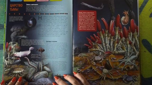 АСМР книга о животных, трейсинг • ASMR шепот, чтение для сна смотреть онлайн