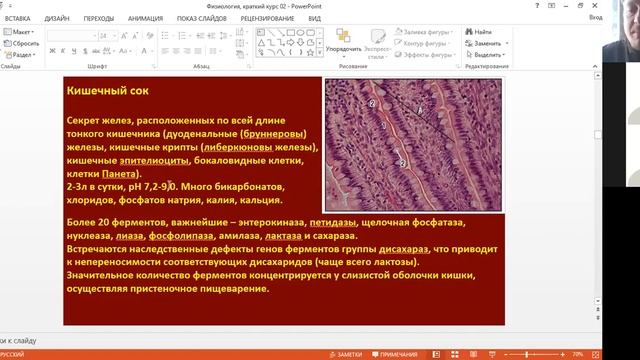 Урок биологии, 8 класс. Пищеварение (ч.4). Пищеварение в кишечнике.