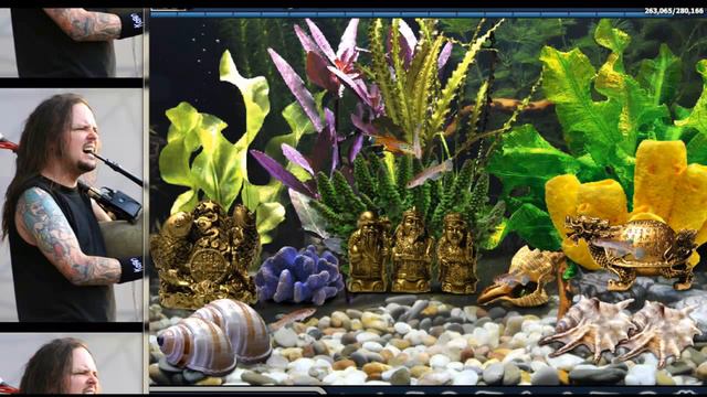 aquantika apps in facebook (3) смотреть онлайн